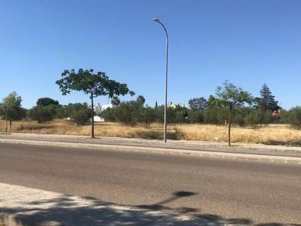 Parcela rústica en venta en Palomares del Río