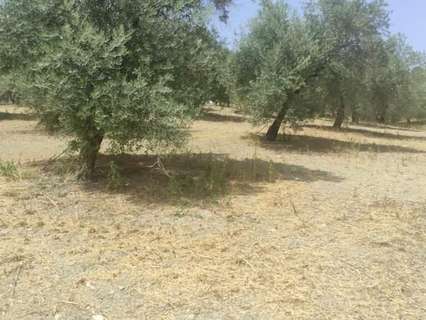 Casa rústica en venta en Jaén