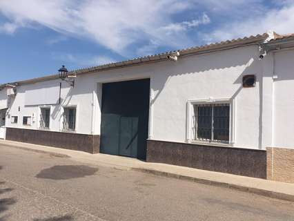 Nave industrial en venta en Pilas