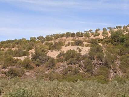 Casa rústica en venta en Morón de la Frontera