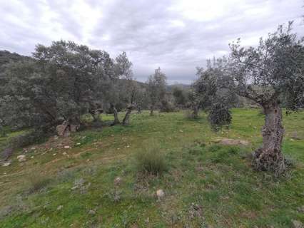 Parcela rústica en venta en Villanueva del Rey