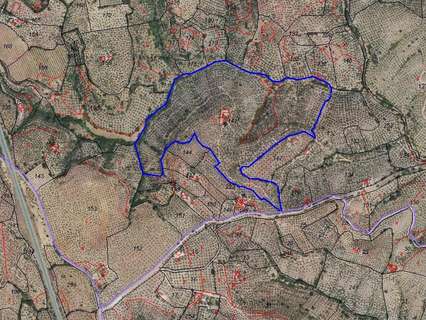 Parcela rústica en venta en Montoro