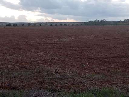 Parcela rústica en venta en Solana de los Barros