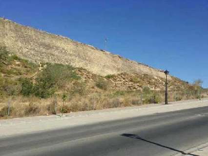 Parcela rústica en venta en Arcos de la Frontera