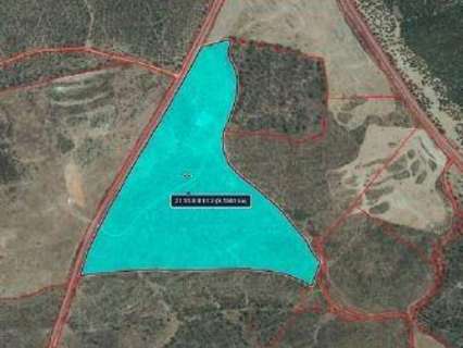 Parcela rústica en venta en Niebla