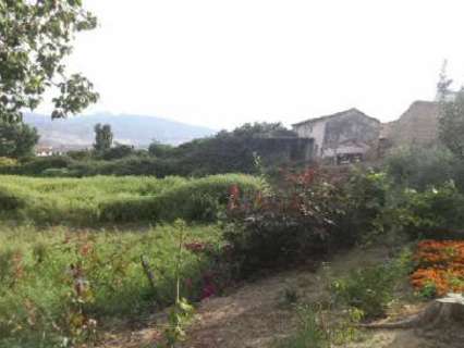 Parcela rústica en venta en Algodonales