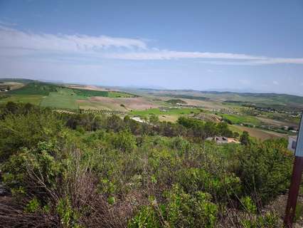 Parcela rústica en venta en Espera