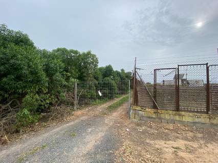 Parcela rústica en venta en Chipiona