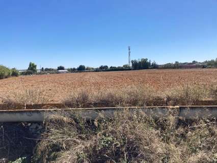 Parcela rústica en venta en Jerez de la Frontera