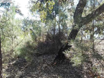 Parcela rústica en venta en Valdelarco