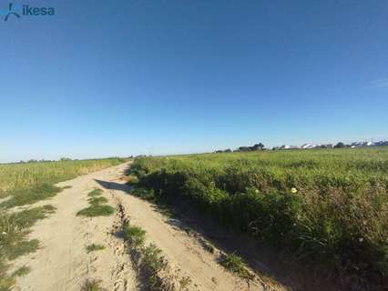 Parcela rústica en venta en Almonte