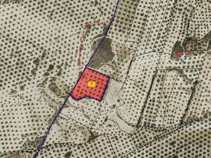 Parcela rústica en venta en Lucena