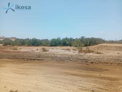 Parcela urbana en venta en El Ejido