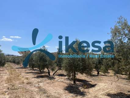 Parcela rústica en venta en Peal de Becerro