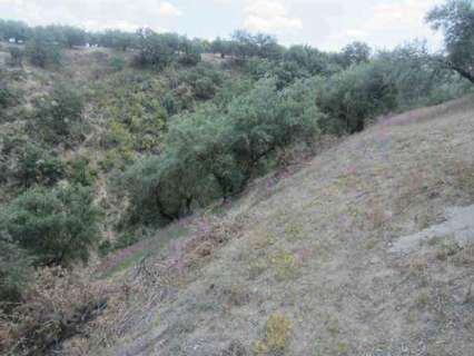 Parcela rústica en venta en Almedinilla