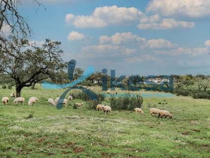 Parcela rústica en venta en Puebla de Guzmán