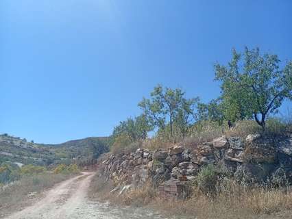 Parcela rústica en venta en Cantoria