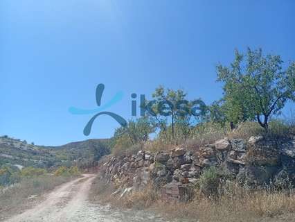 Parcela rústica en venta en Cantoria