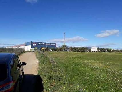 Parcela rústica en venta en Umbrete