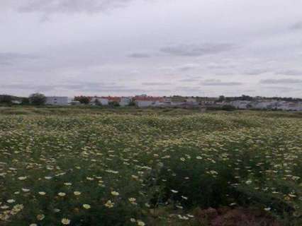 Parcela industrial en venta en Carrión de los Céspedes