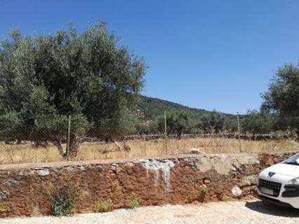 Parcela urbana en venta en Cañaveral de León