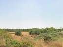 Parcela urbana en venta en Badajoz
