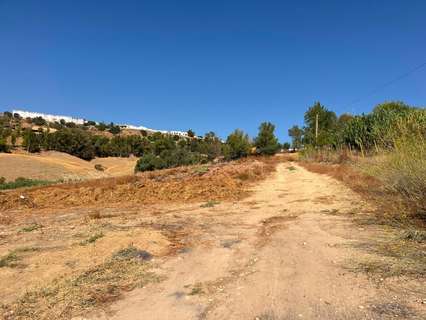 Parcela rústica en venta en Carmona