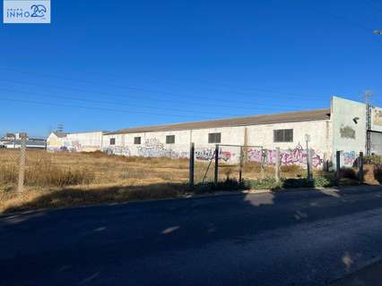 Parcela rústica en alquiler en Paiporta