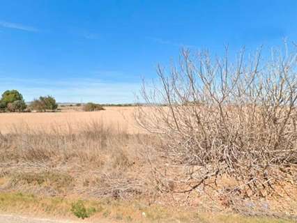 Parcela rústica en venta en Murcia rebajada