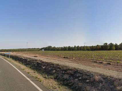 Parcela rústica en venta en Yecla rebajada