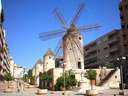 Local comercial en venta en Palma de Mallorca rebajado
