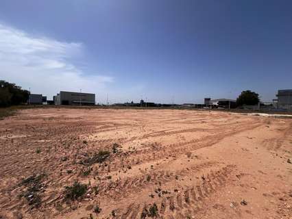 Parcela rústica en venta en Elche/Elx