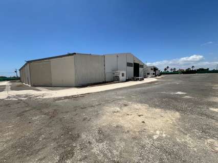 Nave industrial en venta en Elche/Elx zona Las Bayas