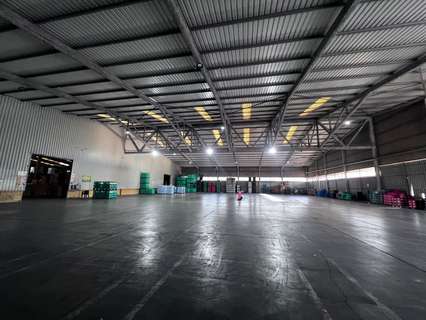 Nave industrial en alquiler en Alicante