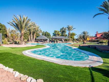 Casa en venta en Elche/Elx