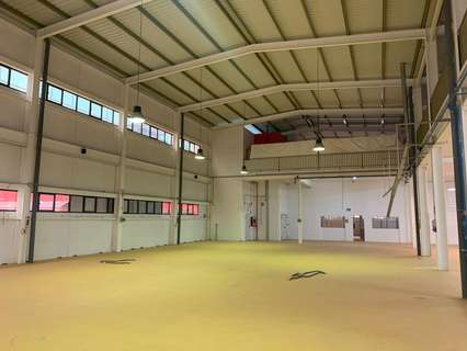 Nave industrial en venta en Elche/Elx
