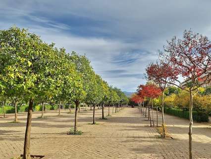 Piso en venta en Granada rebajado