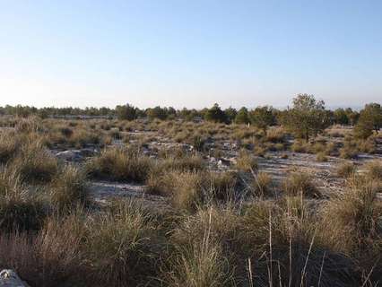 Parcela rústica en venta en Puebla de Don Fadrique