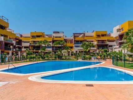 Apartamento en alquiler en Orihuela zona Orihuela-Costa