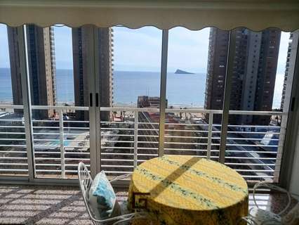 Apartamento en alquiler en Benidorm