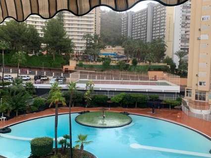Apartamento en alquiler en Benidorm