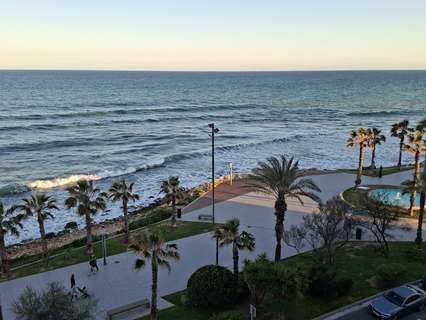 Apartamento en venta en Torrevieja
