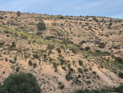 Parcela rústica en venta en Molina de Segura