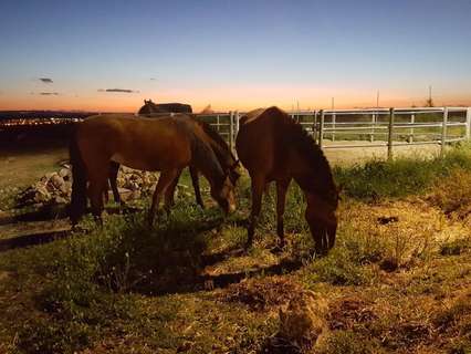 Parcela rústica en venta en Burguillos