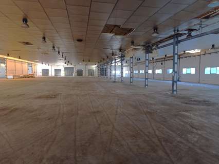 Nave industrial en venta en Murcia zona El Palmar