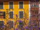 Apartamento en alquiler en Palma de Mallorca