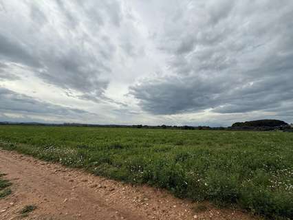 Parcela rústica en venta en Siurana