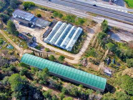 Parcela rústica en venta en Llagostera