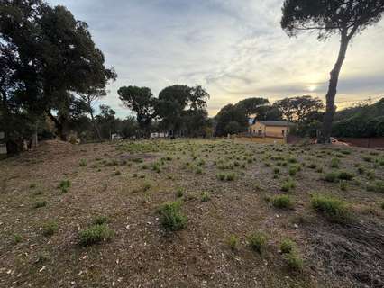 Parcela rústica en venta en Massanes rebajada