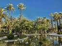 Piso en venta en Elche/Elx